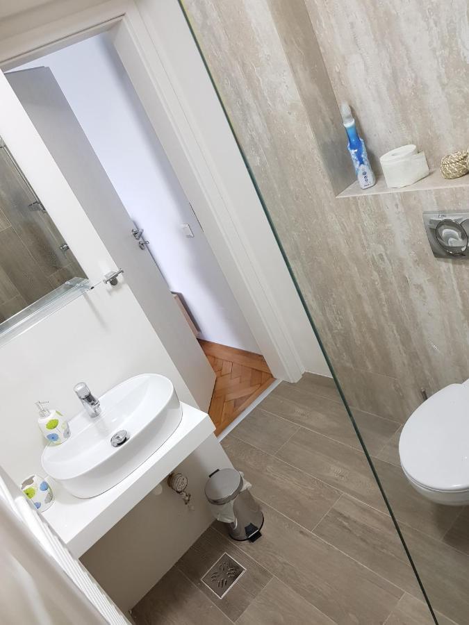 Cluj Central Square 2 Rooms Apartment المظهر الخارجي الصورة