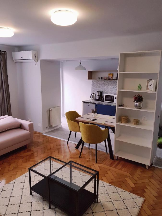 Cluj Central Square 2 Rooms Apartment المظهر الخارجي الصورة