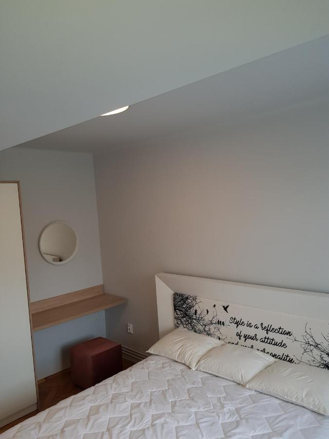 Cluj Central Square 2 Rooms Apartment المظهر الخارجي الصورة