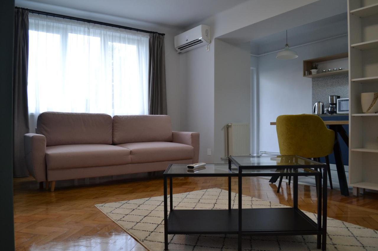 Cluj Central Square 2 Rooms Apartment المظهر الخارجي الصورة